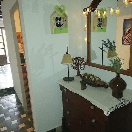 Can Cactus Garriguella Luaran gambar