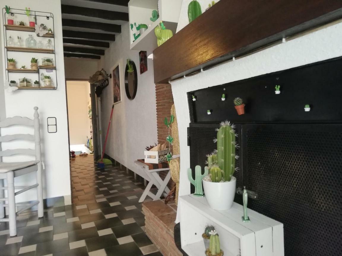 Can Cactus Garriguella Luaran gambar