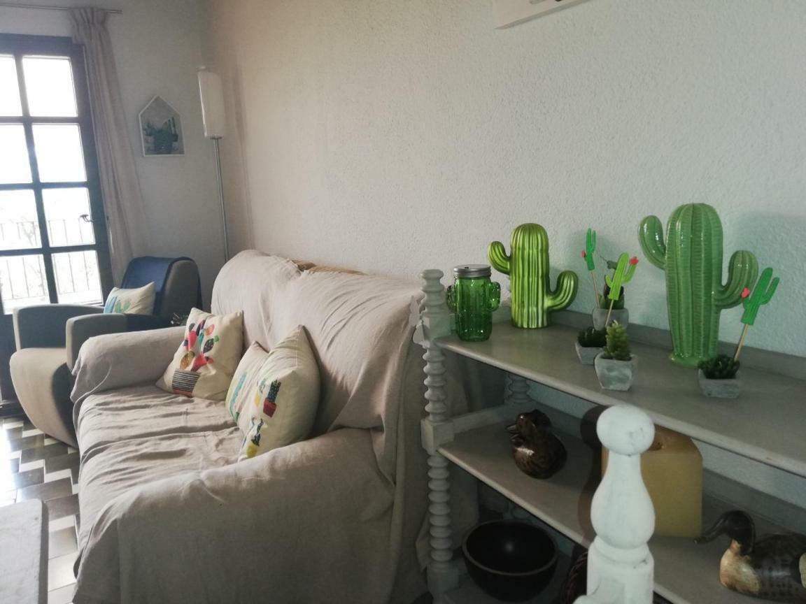 Can Cactus Garriguella Luaran gambar