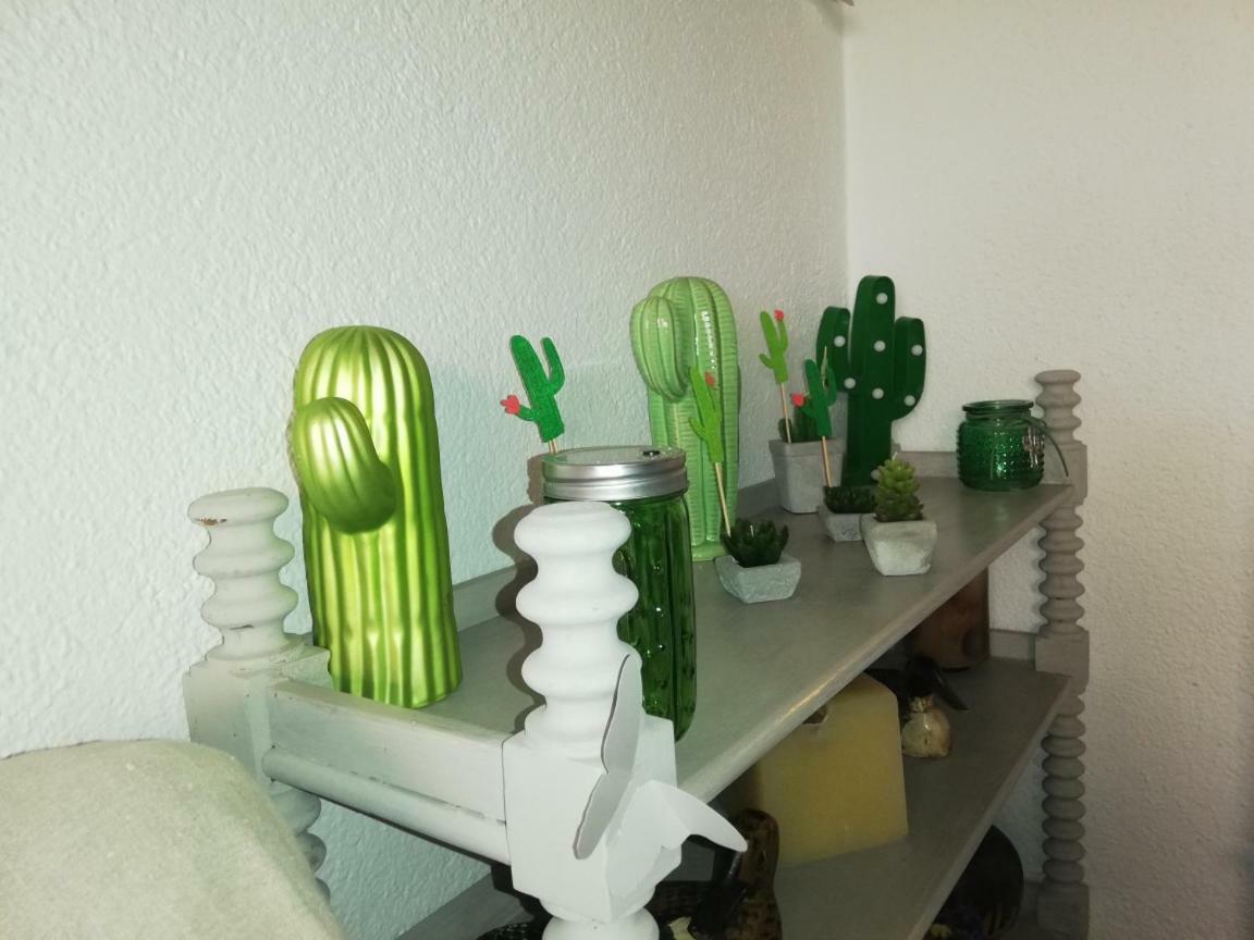 Can Cactus Garriguella Luaran gambar